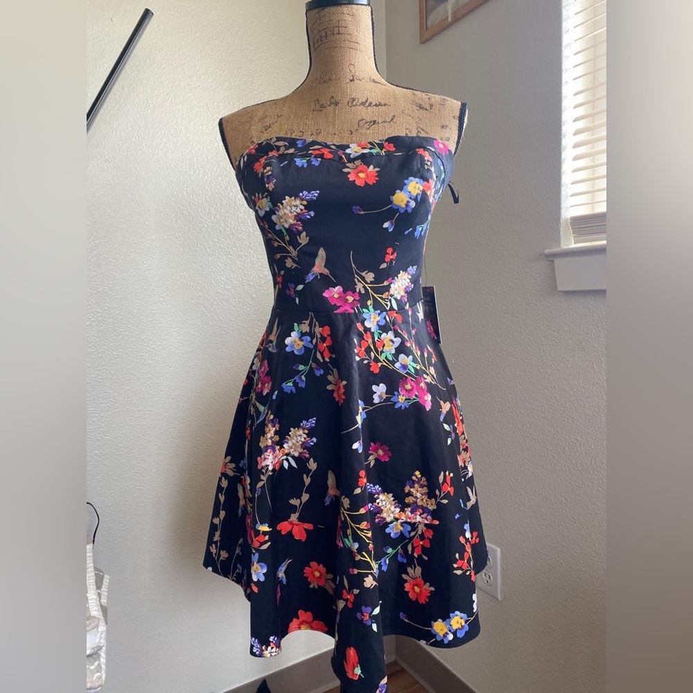 Express New Floral Dress